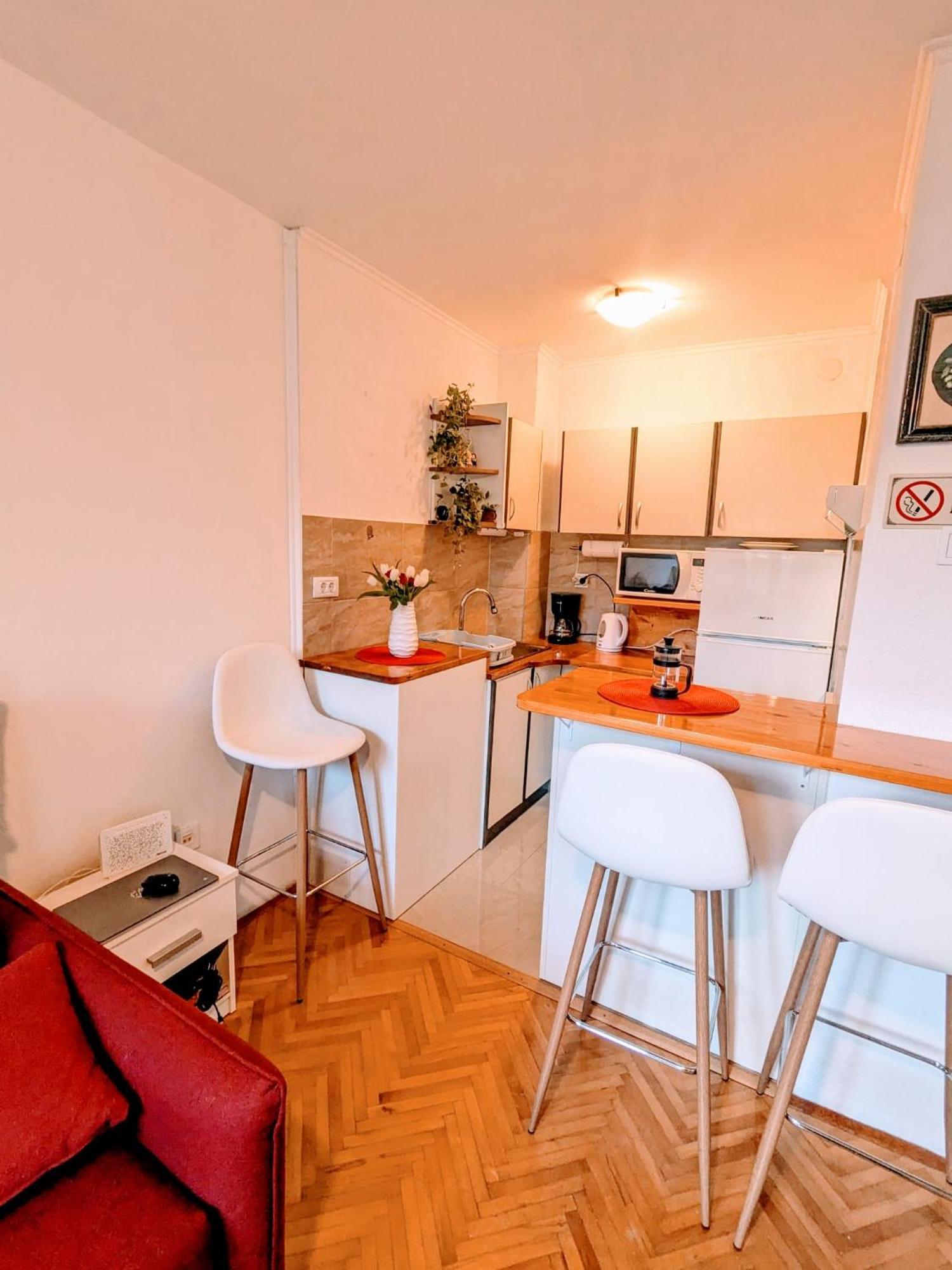 Demass Apartment - Cozy, Free Parking And Wifi Дубровник Экстерьер фото